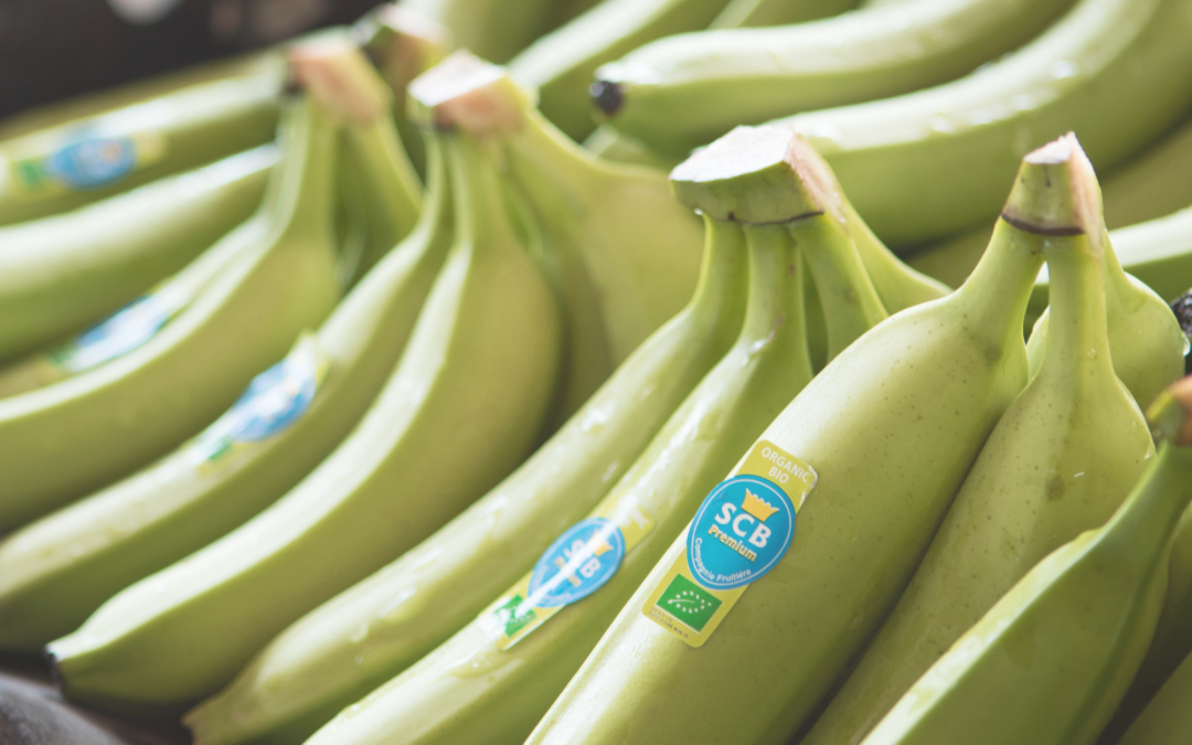 El plátano SCB, mucho más que una fruta sabrosa